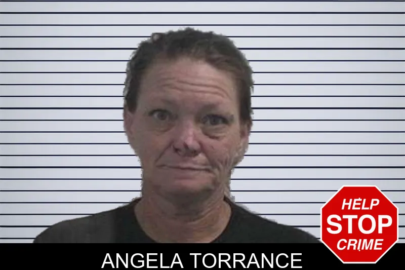 Angela Torrance mugshot – McDuffie County , Georgia Angela Torrance mugshot