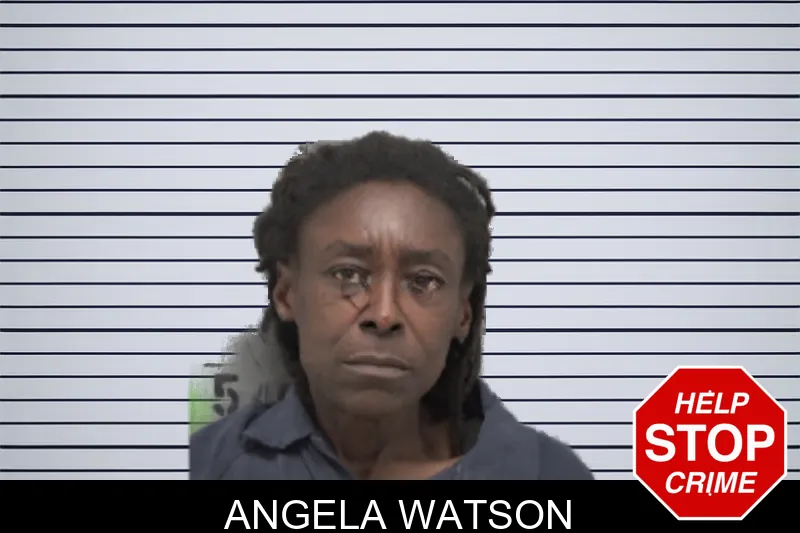 Angela Watson mugshot – Dougherty County , Georgia Angela Watson mugshot