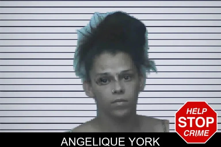Angelique York