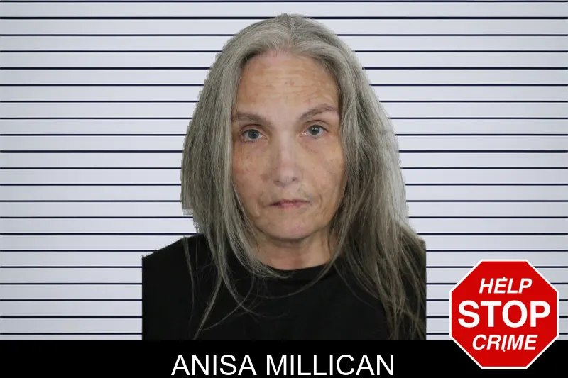 Anisa Millican mugshot