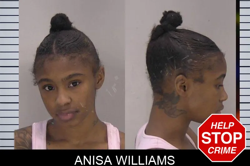 Anisa Williams mugshot