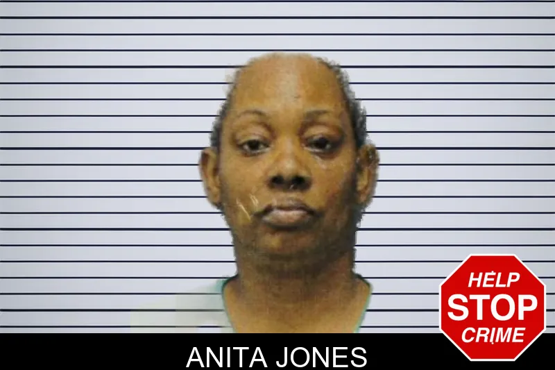 Anita Jones mugshot – Greene County , Georgia Anita Jones mugshot
