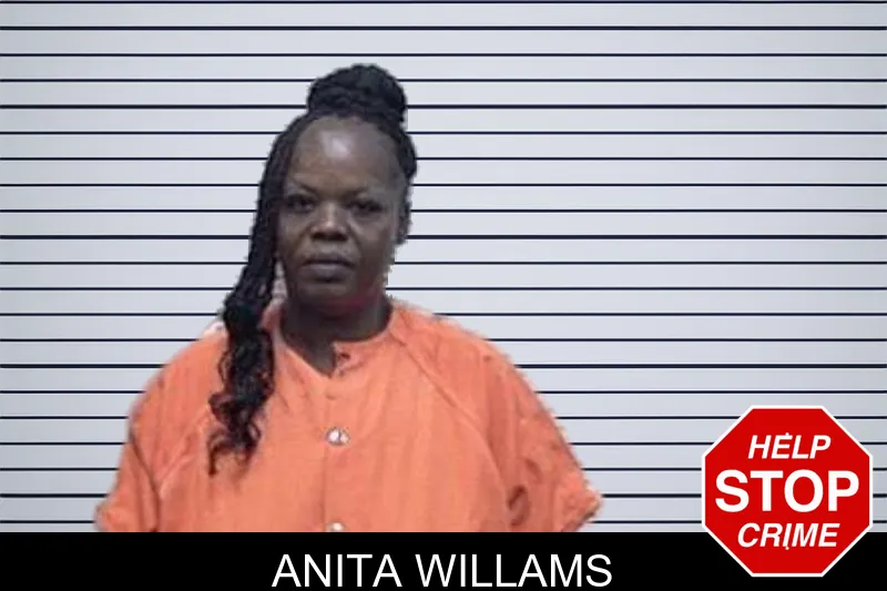 Anita Willams mugshot