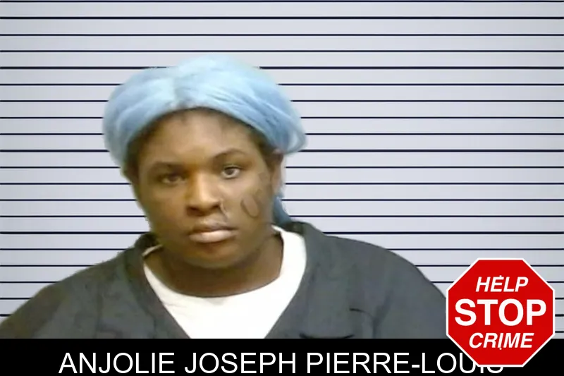 Anjolie Joseph Pierre-Louis mugshot – Fulton County , Georgia Anjolie Joseph Pierre-Louis mugshot