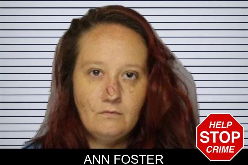 Ann Foster mugshot
