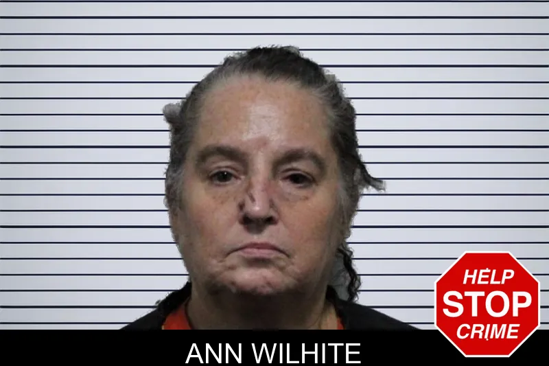 Ann Wilhite mugshot – Habersham County , Georgia Ann Wilhite mugshot