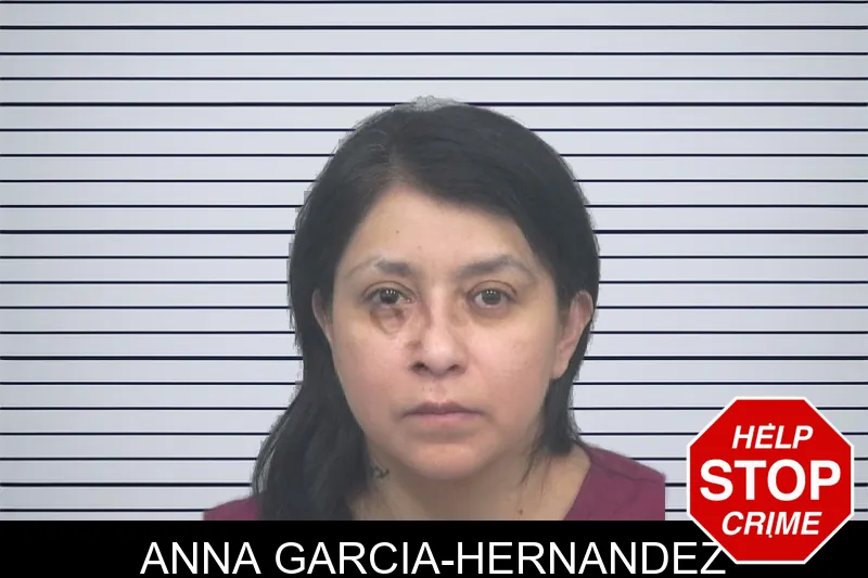 Anna Garcia-Hernandez mugshot
