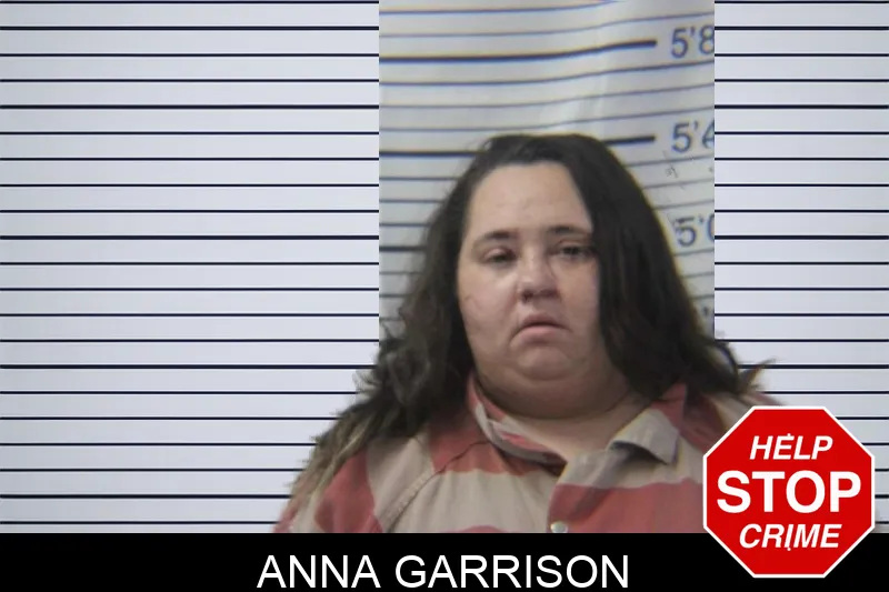 Anna Garrison mugshot