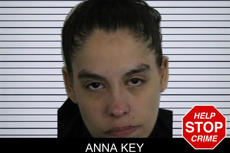 Anna Key mugshot