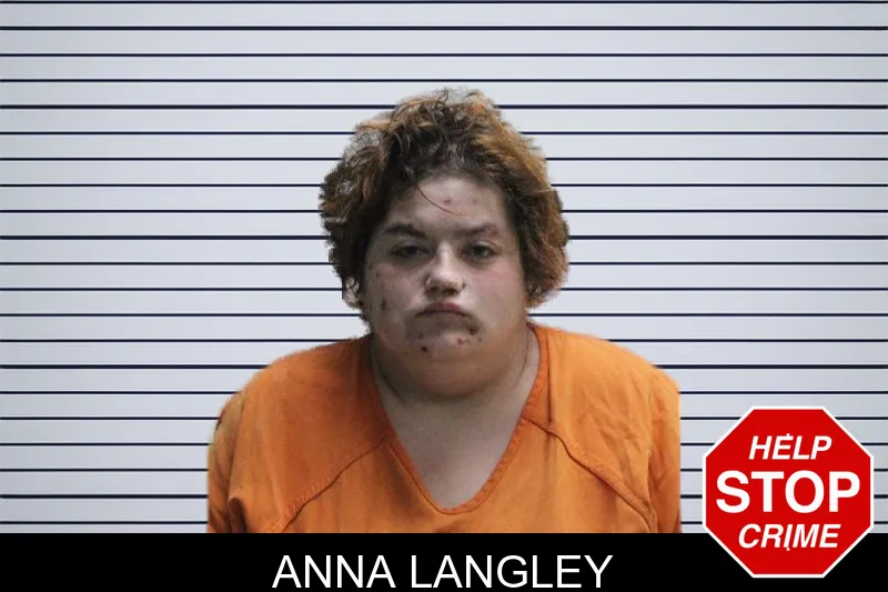 Anna Langley mugshot