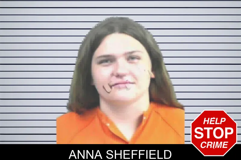 Anna Sheffield mugshot – Mitchell County , Georgia Anna Sheffield mugshot