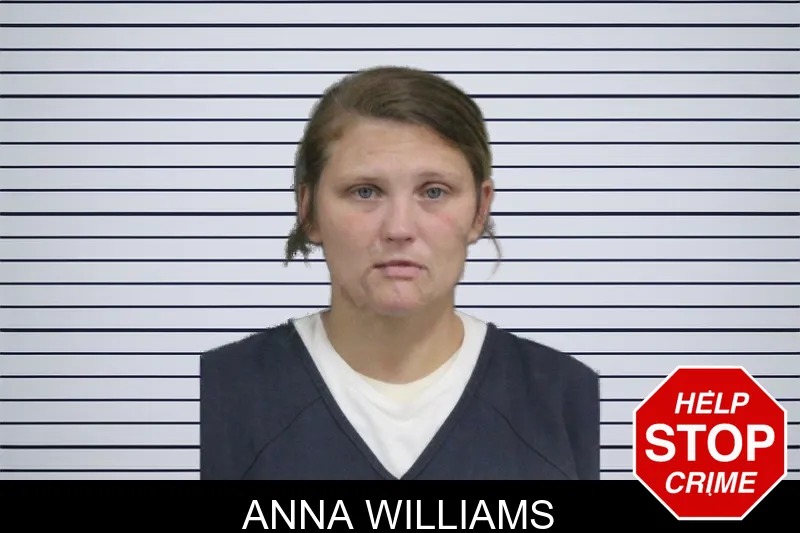 Anna Williams mugshot