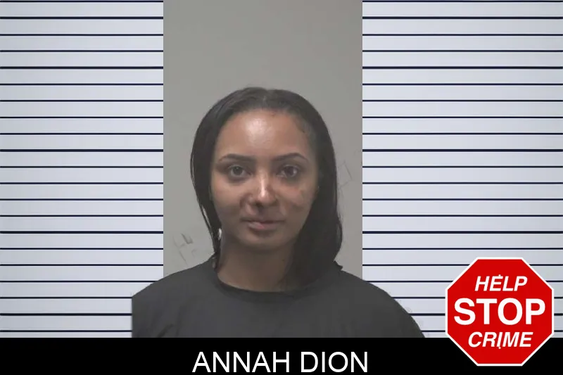Annah Dion mugshot