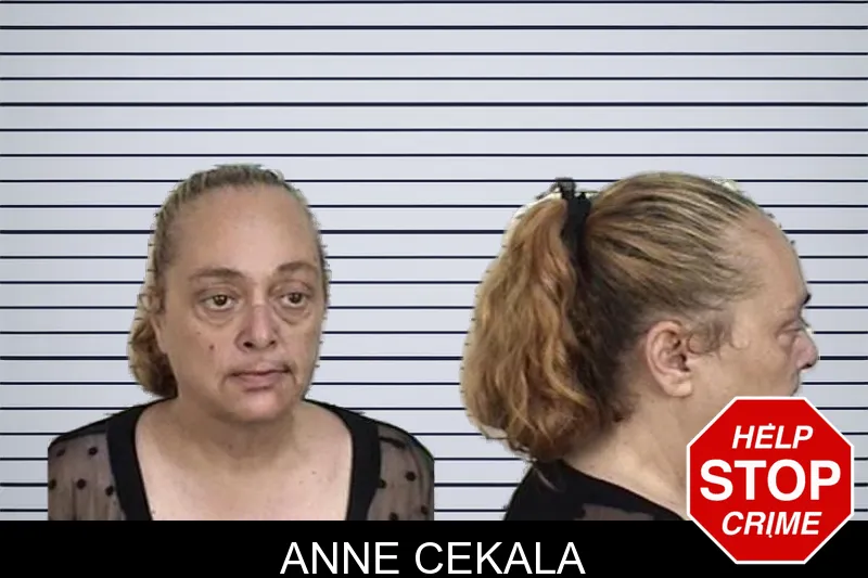 Anne Cekala mugshot