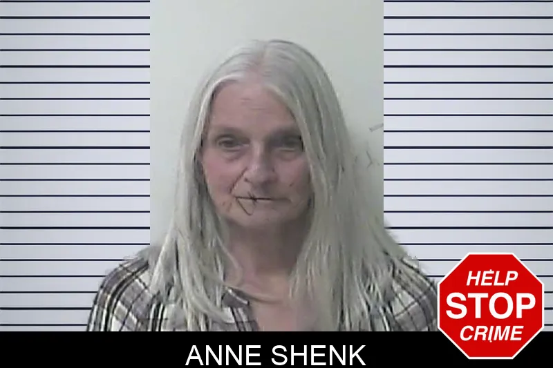 Anne Shenk mugshot – Oconee County , Georgia Anne Shenk mugshot