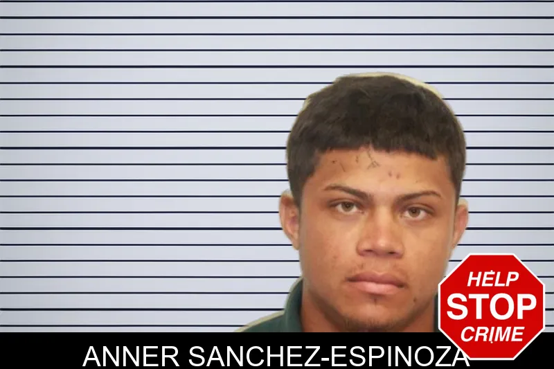 Anner Sanchez-Espinoza mugshot – Chatham County , Georgia Anner Sanchez-Espinoza mugshot