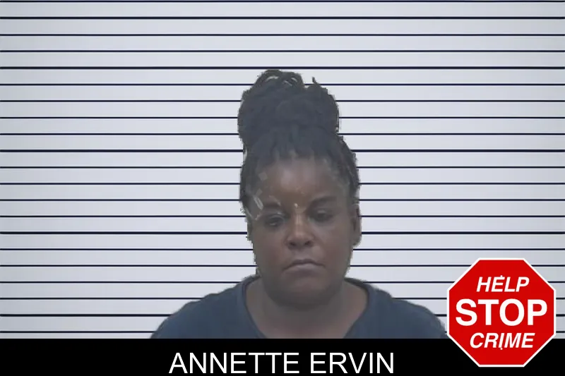 Annette Ervin mugshot