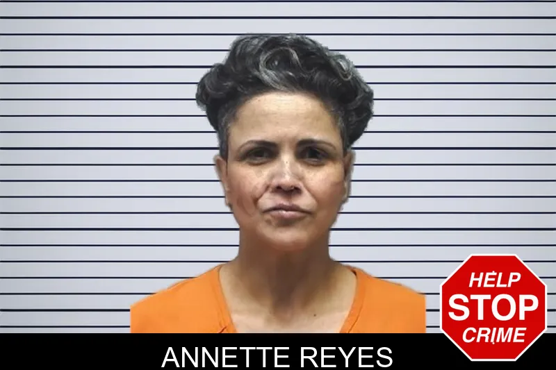 Annette Reyes mugshot