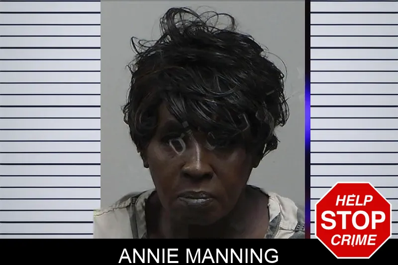 Annie Manning mugshot