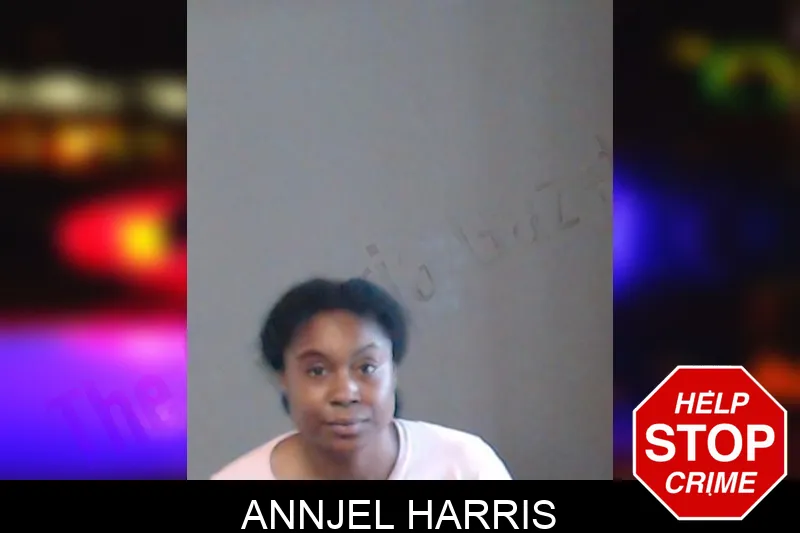 Annjel Harris mugshot – DeKalb County , Georgia Annjel Harris mugshot