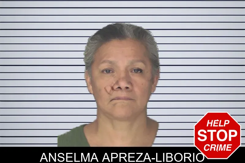 Anselma Apreza-Liborio mugshot