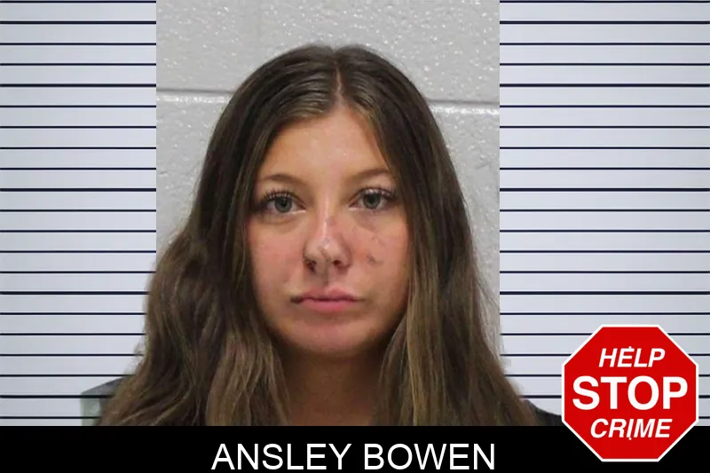 Ansley Bowen mugshot