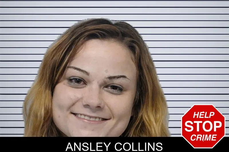 Ansley Collins mugshot – Bibb County , Georgia Ansley Collins mugshot