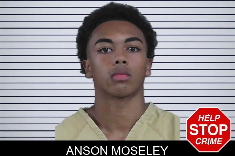 Anson Moseley mugshot
