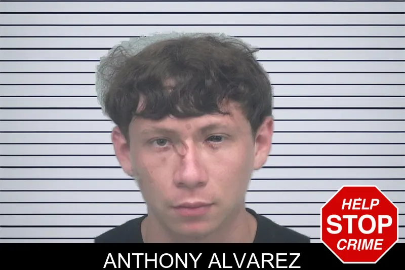 Anthony Alvarez mugshot
