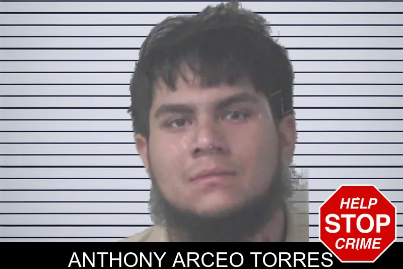 Anthony Arceo Torres mugshot