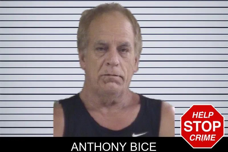 Anthony Bice mugshot