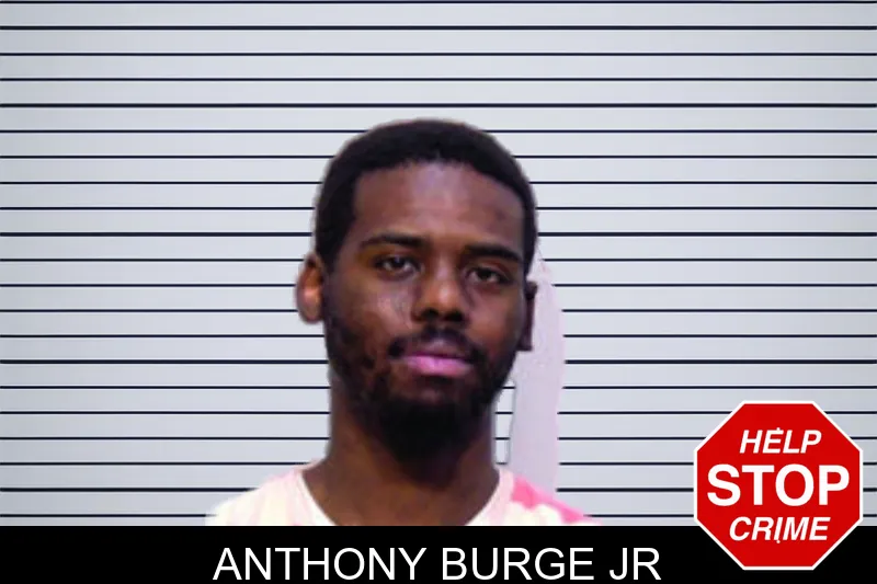 Anthony Burge Jr mugshot