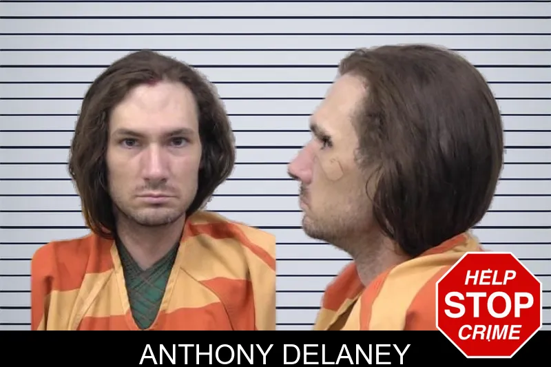 Anthony Delaney mugshot