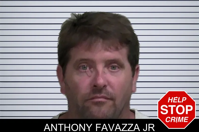Anthony Favazza Jr mugshot