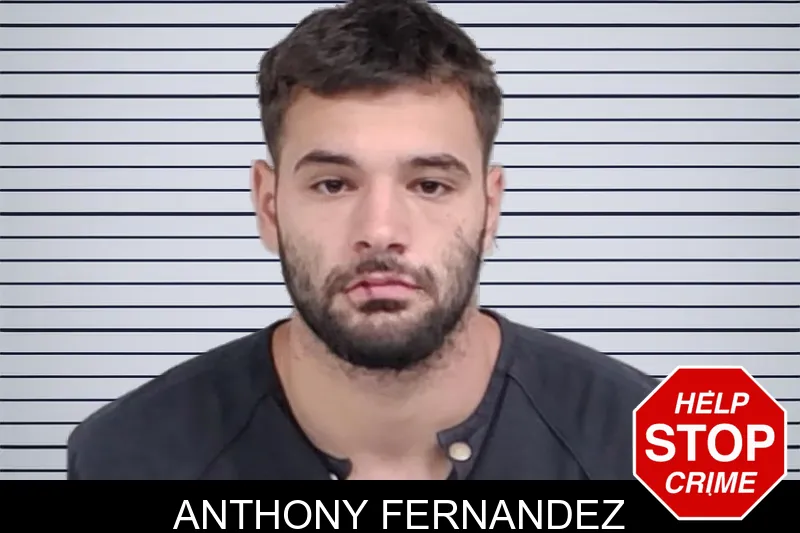 Anthony Fernandez mugshot – Lowndes County , Georgia Anthony Fernandez mugshot