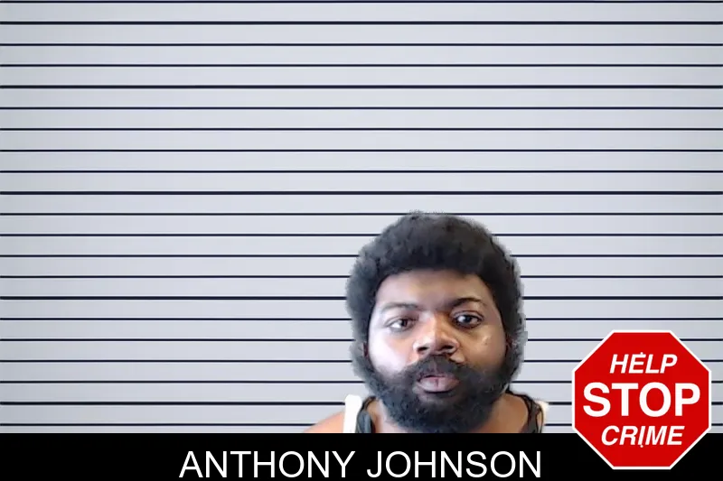 Anthony Johnson mugshot