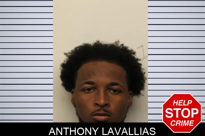 Anthony Lavallias mugshot
