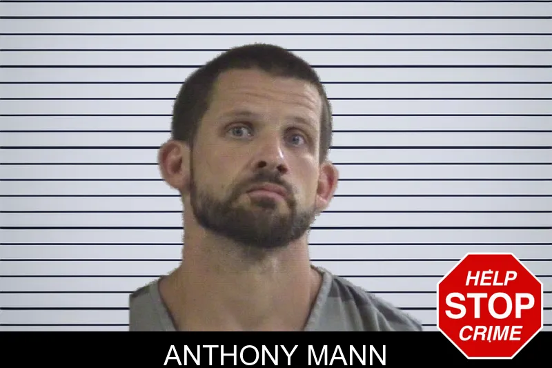 Anthony Mann mugshot – Whitfield County , Georgia Anthony Mann mugshot