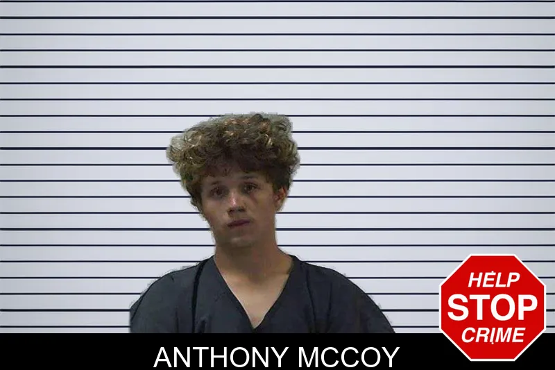 Anthony McCoy mugshot – Gilmer County , Georgia Anthony McCoy mugshot