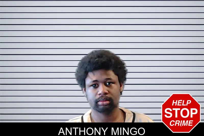Anthony Mingo mugshot – DeKalb County , Georgia Anthony Mingo mugshot