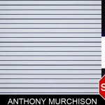 Anthony Murchison mugshot
