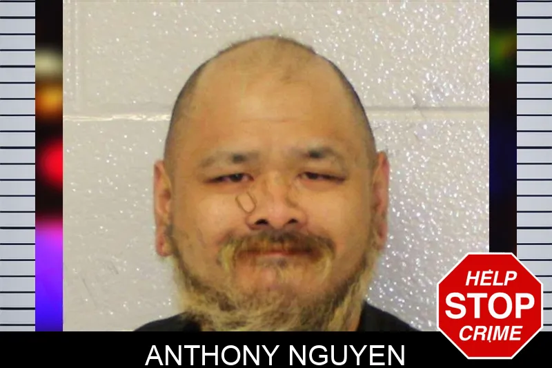 Anthony Nguyen mugshot – Carroll County , Georgia Anthony Nguyen mugshot