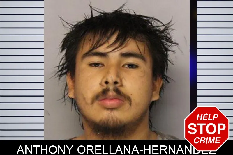 Anthony Orellana-Hernandez mugshot