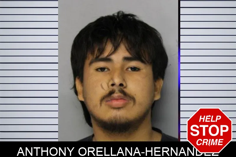 Anthony Orellana-Hernandez mugshot