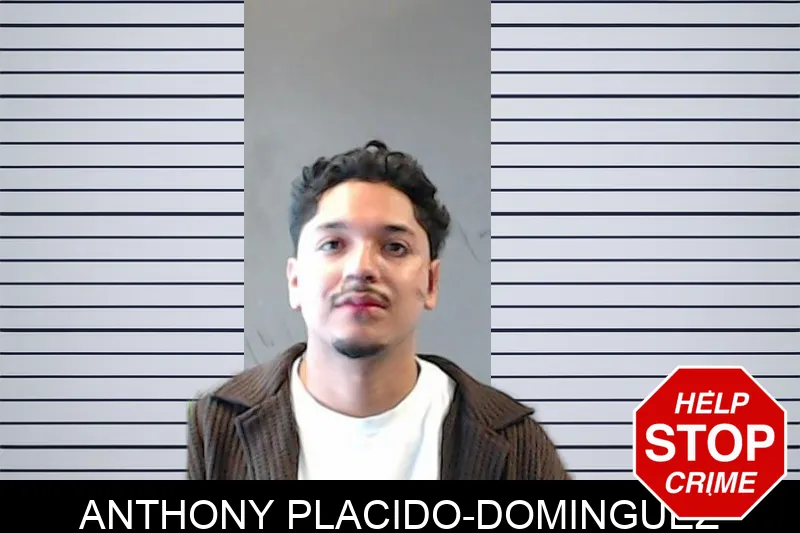 Anthony Placido-Dominguez mugshot