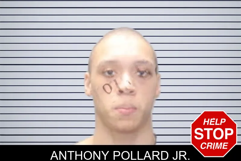 Anthony Pollard Jr. mugshot