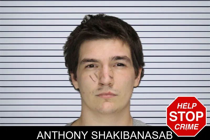 Anthony Shakibanasab mugshot