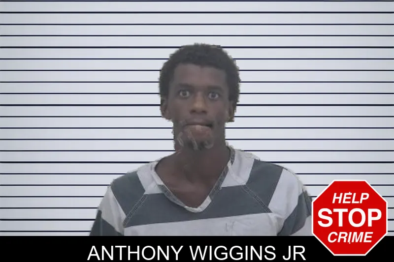 Anthony Wiggins Jr mugshot – Coffee County , Georgia Anthony Wiggins Jr mugshot