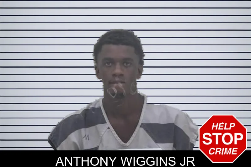 Anthony Wiggins Jr mugshot – Coffee County , Georgia Anthony Wiggins Jr mugshot