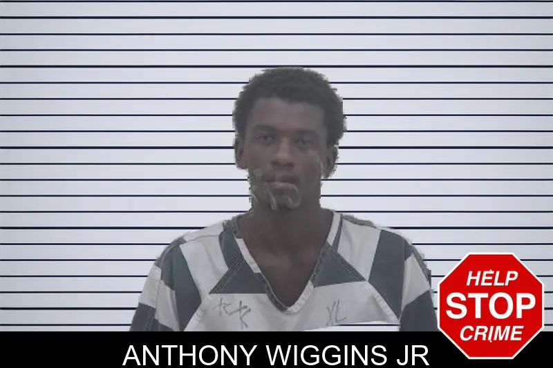 Anthony Wiggins Jr mugshot